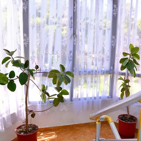 Flamuri Appartement *