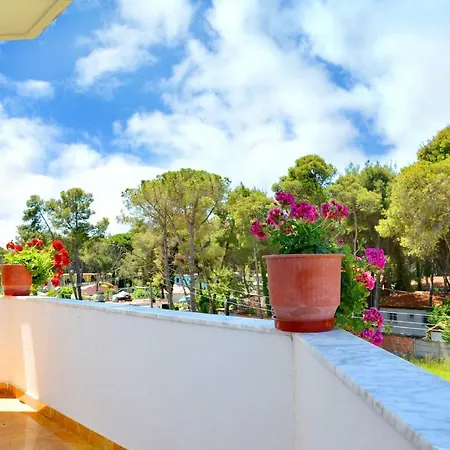 Flamuri ゴーレム