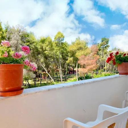 Flamuri Appartement *